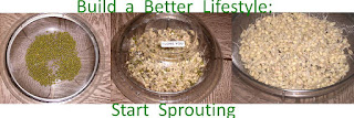 Build a Better Lifestyle: Start Sprouting, collage by wobuilt.com