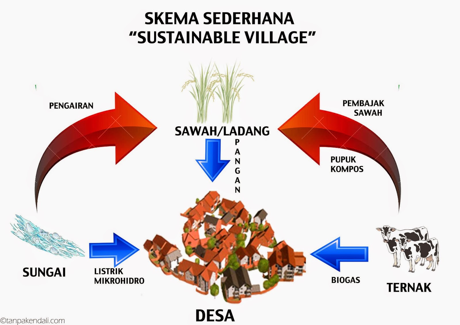 Kolaborasi Gaya Baru Wujudkan Desa Kuripan Kidul Mandiri Energi Terbarukan