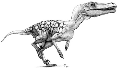 Velociraptor Ilustración de un Velociraptor corriendo