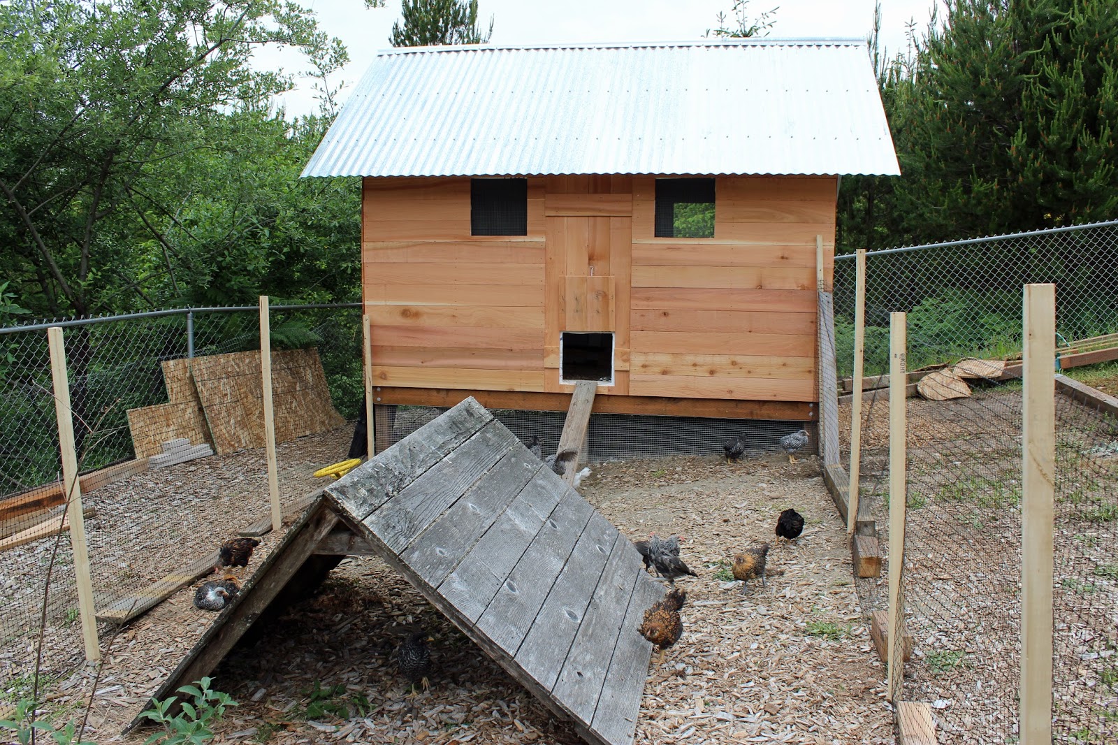 Nurturing A Simple Life