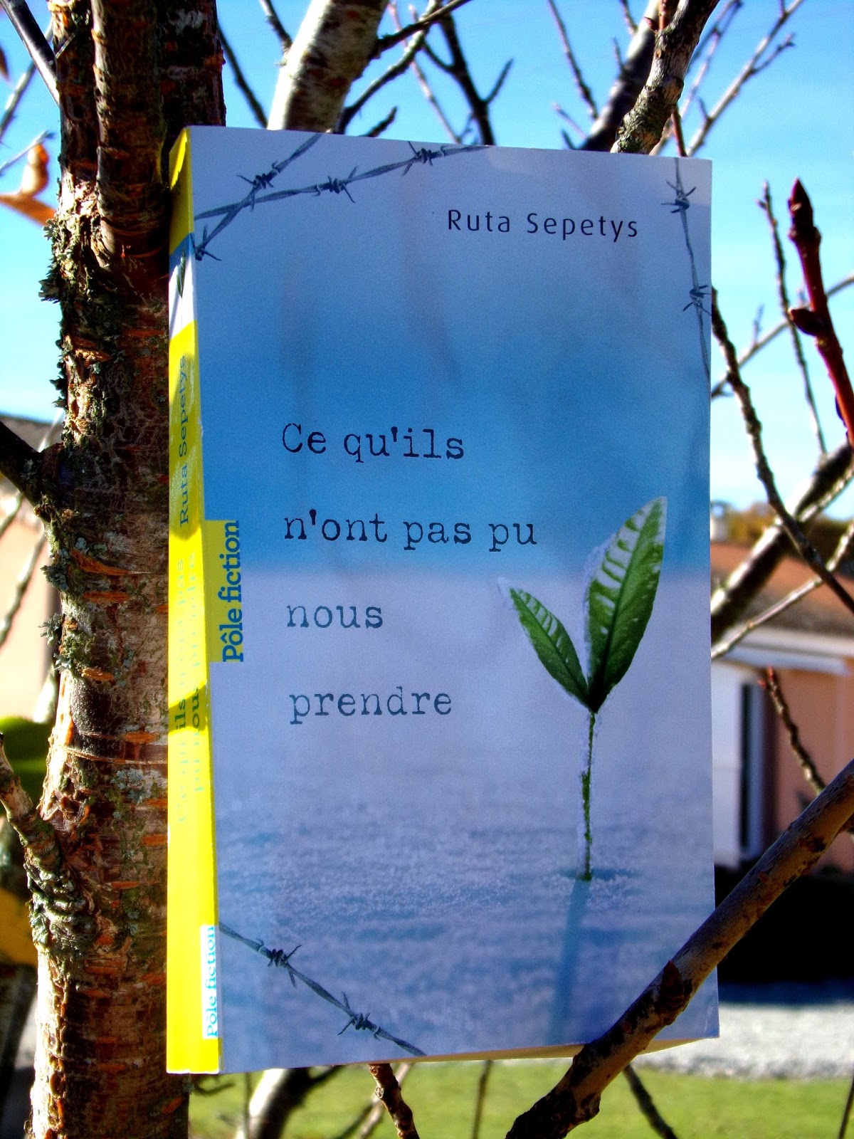 Ce qu'ils n'ont pas pu nous prendre de Ruta Sepetys