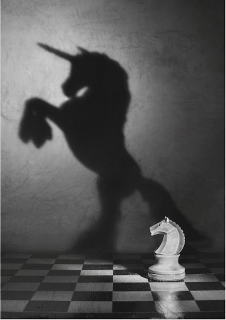 chess+horse