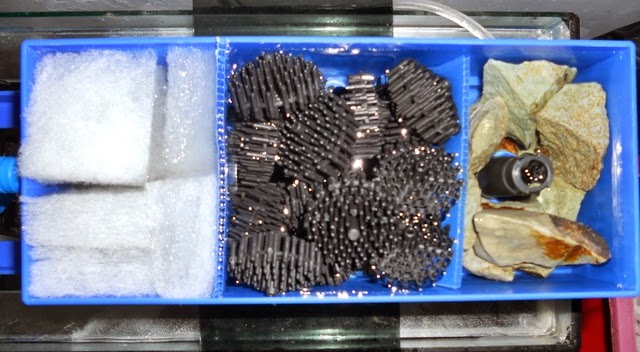 6 Cara Menjernihkan Air Aquarium Dengan Arang Obat Alami