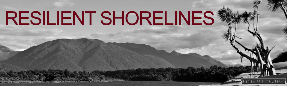  Resilient Shorelines | conservation & climate change