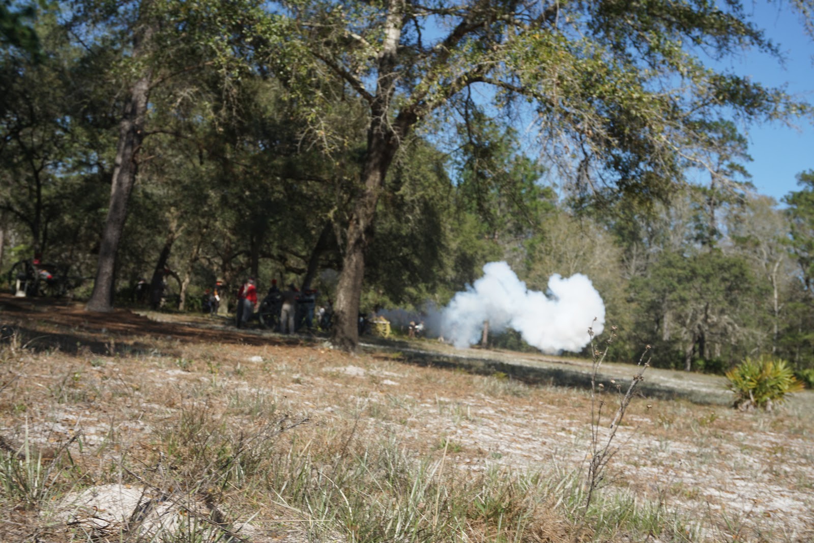 The Mountain Lioness '153rd Anniversary of the 'Battle of Natural