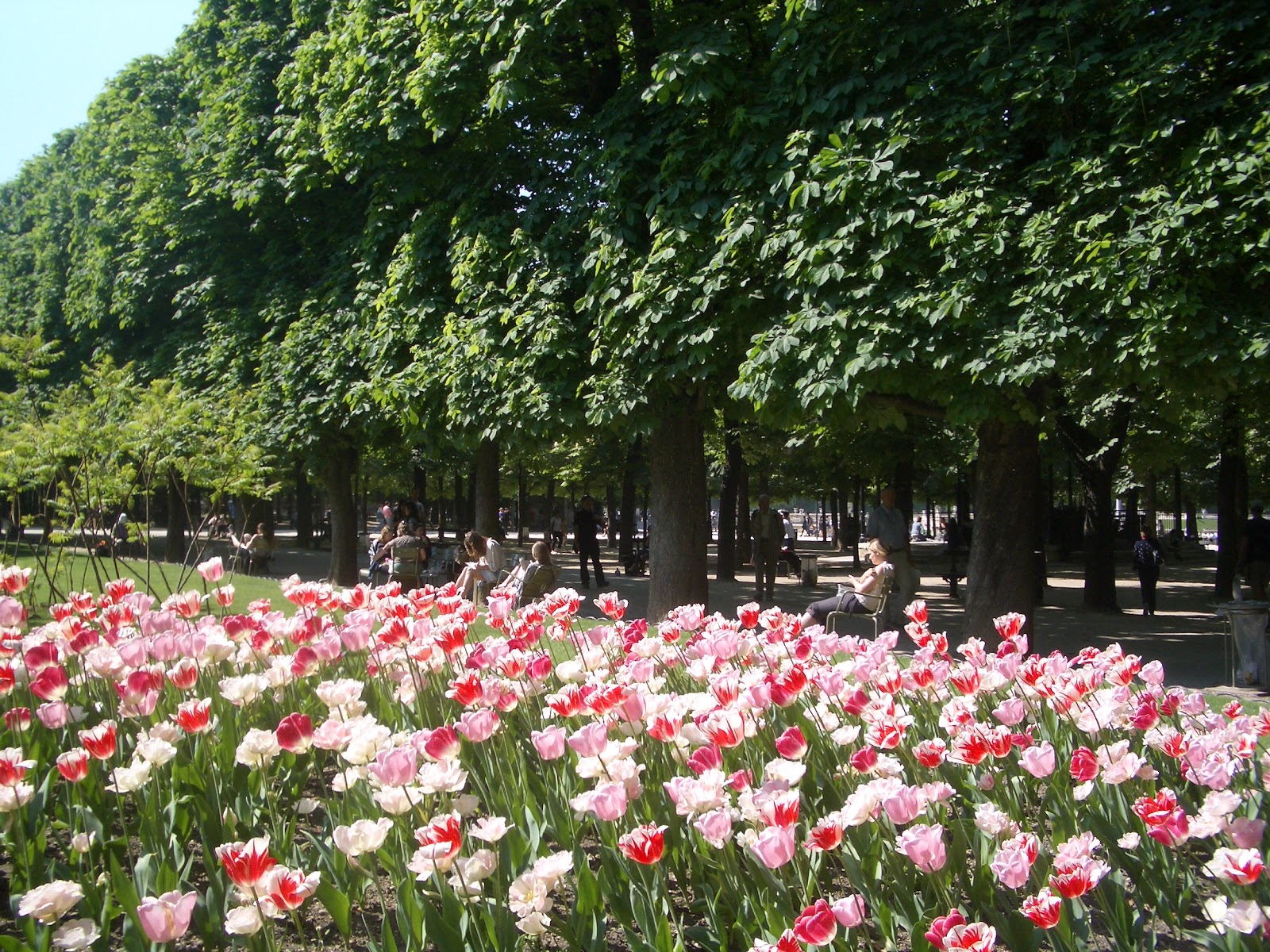 Femmes Francophiles Sortir à Paris Les 100 choses qu