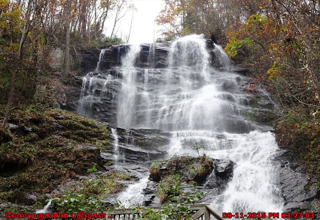 A Natural Wonder Amicalola Falls