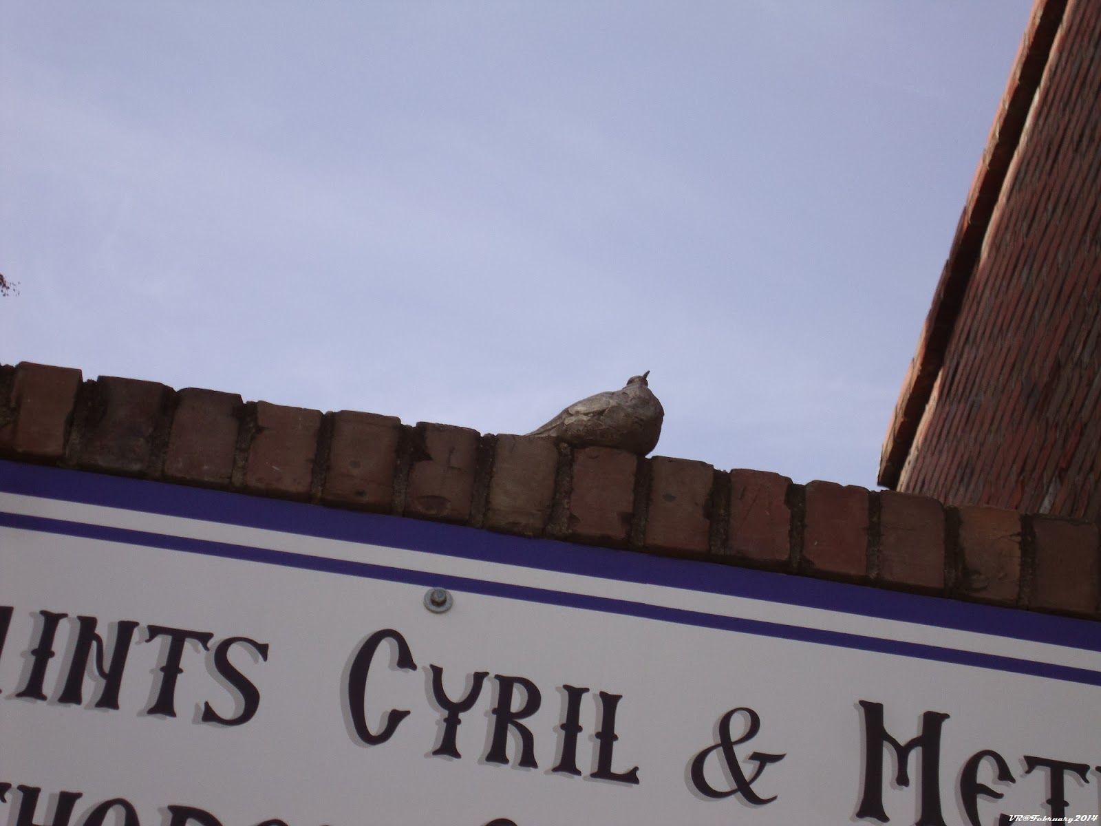 Vacation Rick The B.I.R.D.S. Project And Summerville ROCKSMore