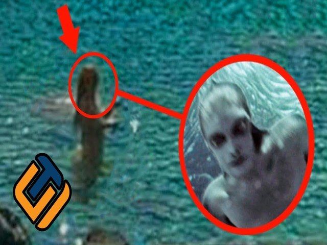 Gambar Ikan Duyung Cantik Hidup Dan Jadi Kartun Terbesar
