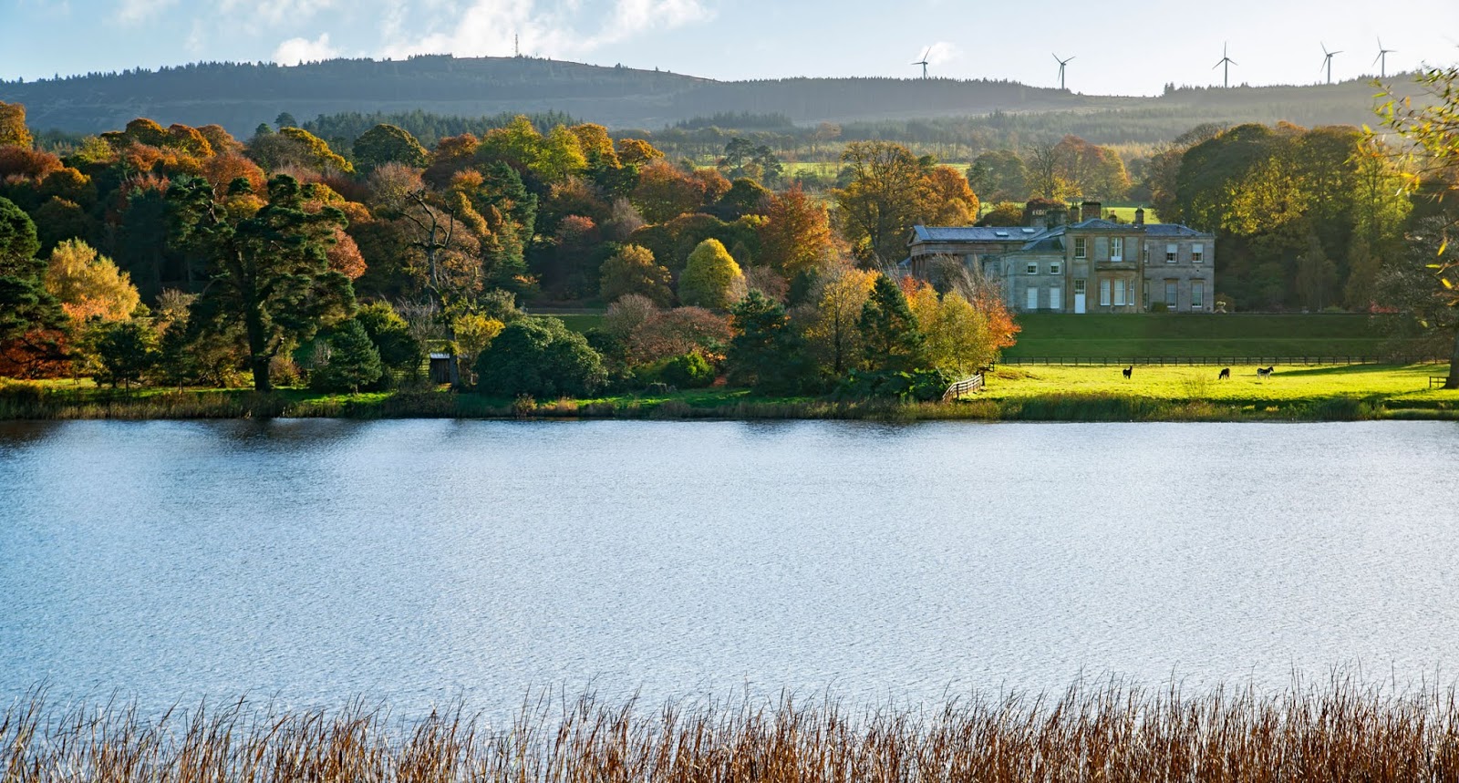 The Heirs of Europe ABERCORN