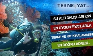 Dana Adası Dalış Turları