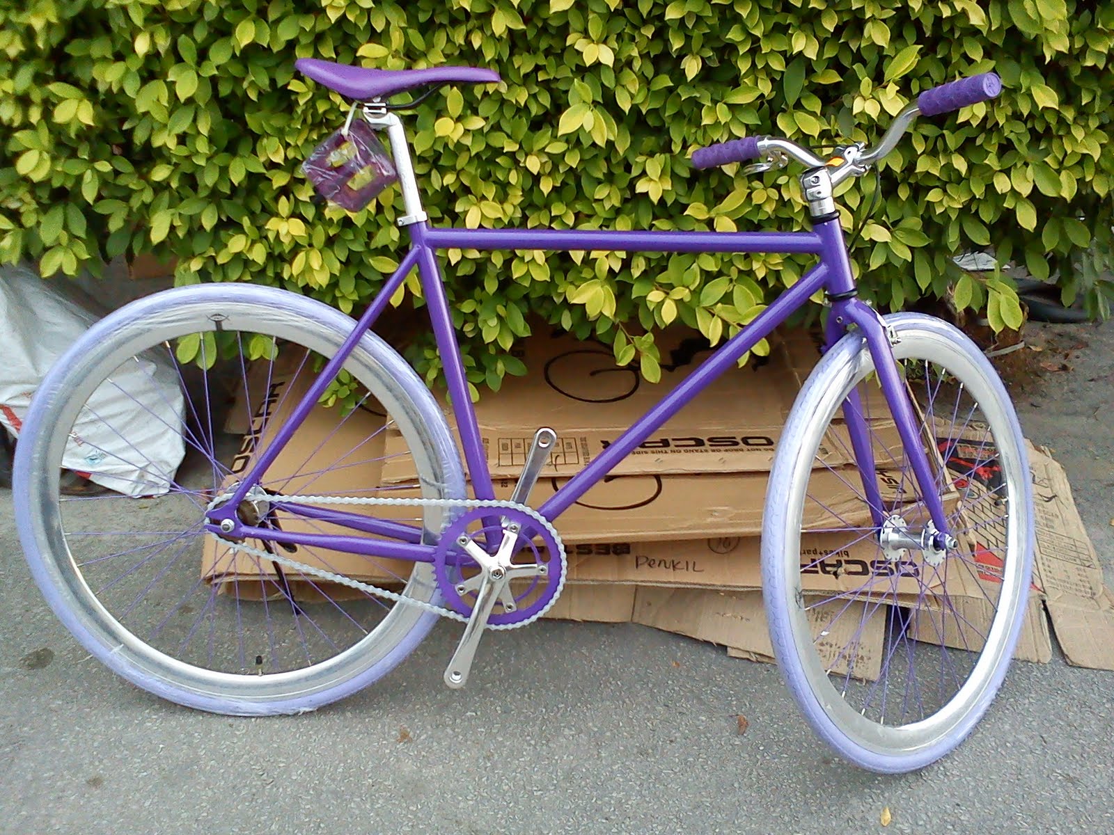 promax fixie