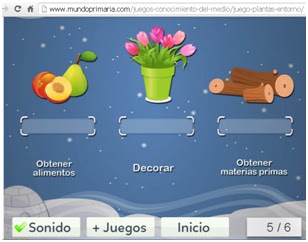 EXPLORANDO EL MÁGICO MUNDO DE LAS PLANTAS: Clasificación De Las Plantas