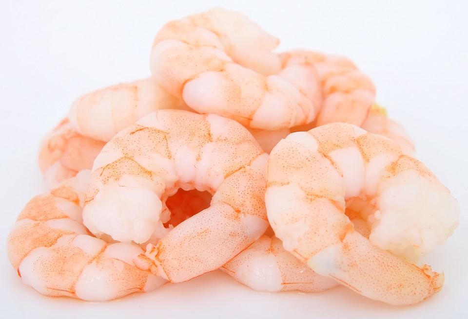 Serba Serbi Ebi Kering Dari Laut Menuju Dapur Kangjamal Com Serba Serbi Ebi Kering Dari Laut Menuju Dapur Kangjamal Com