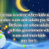 Best Merry Christmas Wishes