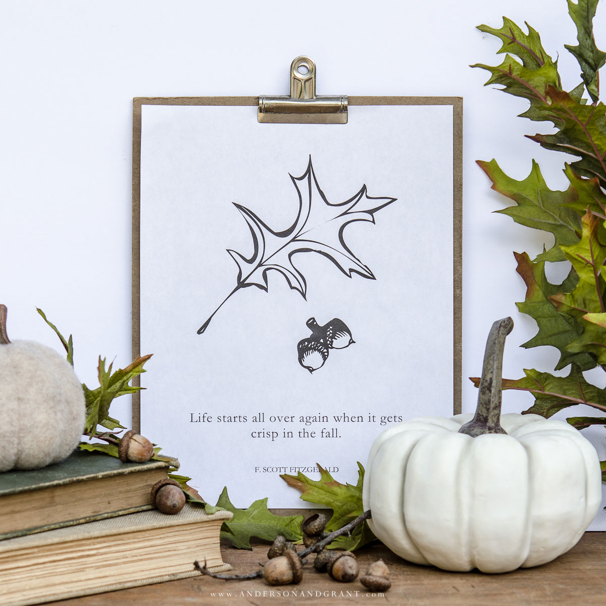 Acorns And Oak Leaves Free Printable For Fall ANDERSON GRANT acorns-and-oak-leaves-free-printable-for-fall-anderson-grant