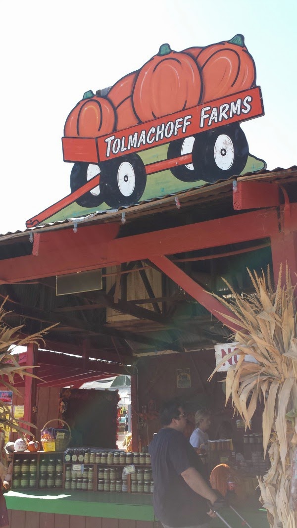 Corn Maze & Pumpkin Patch at Tolmachoff Farms! Corn Maze & Pumpkin Patch at Tolmachoff Farms!