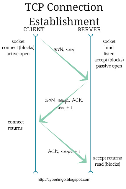 Network Programming - TCP Connection Establishment | The Daily Programmer