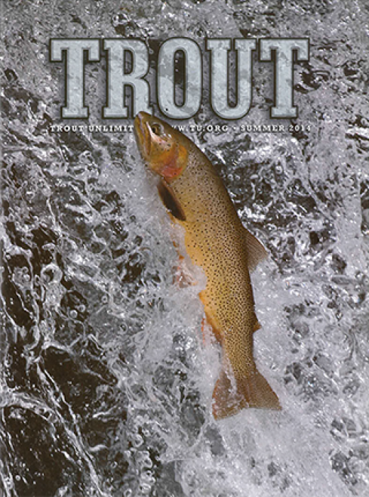 TV Trout Unlimited Did you read about the Culvert Projects?