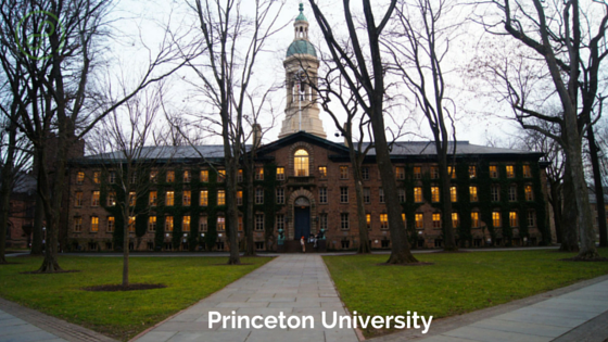 На фото Университет Принстона