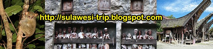 Sulawesi Island Indonesia Trip Review