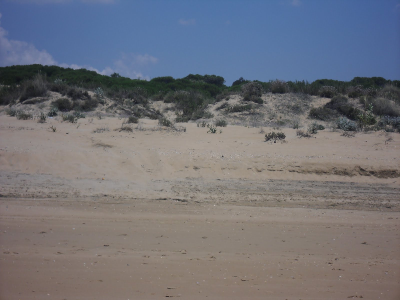 LA BUENA VIDA Sábado 4 de Junio.De la Playa de la Bota hasta Punta