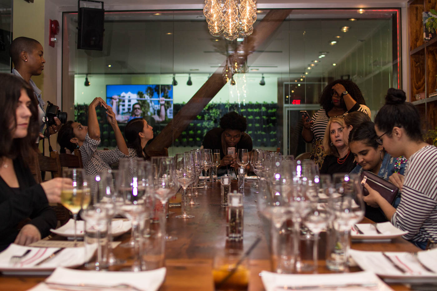 Greenhouse Bistro Preview. A.VIZA STYLE