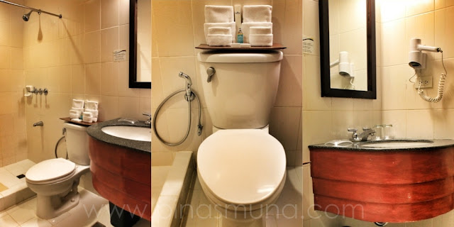 Microtel Cananatuan Hotel Toilet and Shower