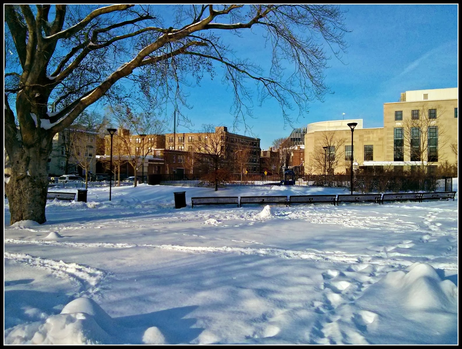 Invierno 2013-2014 Cambridge