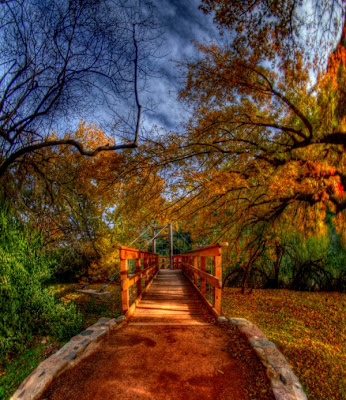 Beautiful+Nature+By+WwW.7ayal.blogspot.CoM+(3).jpg