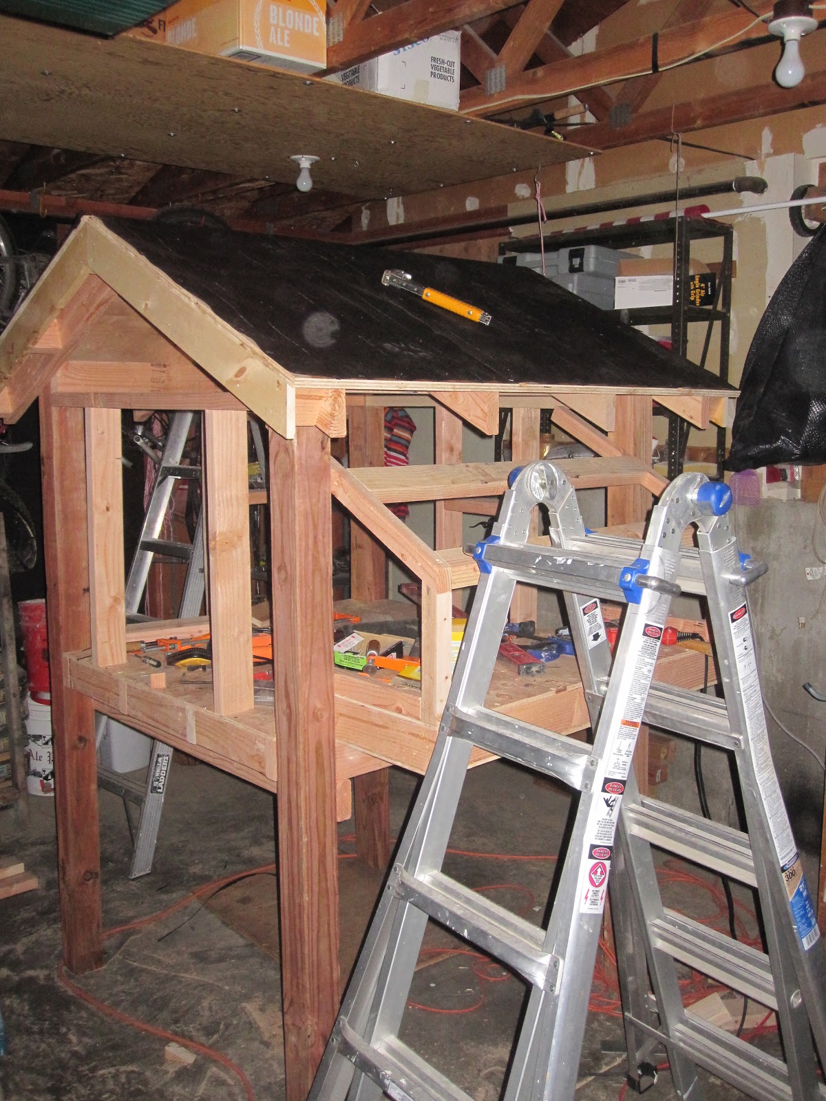 Flights Of Fancy What Came First, The Chicken or The Coop?