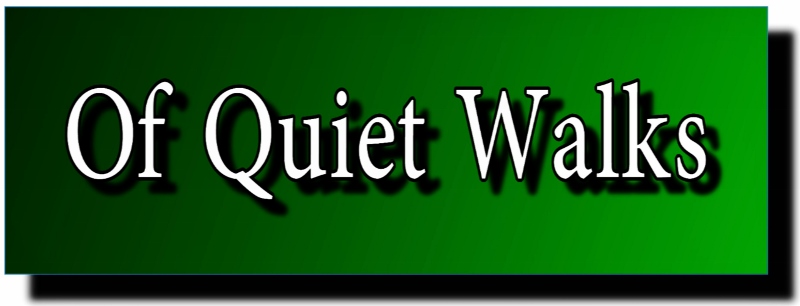 Ramblings...Essays and Such...: Of Quiet Walks