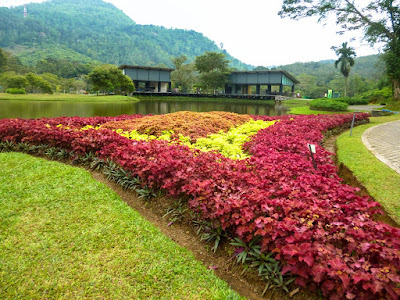 P1280616.jpg