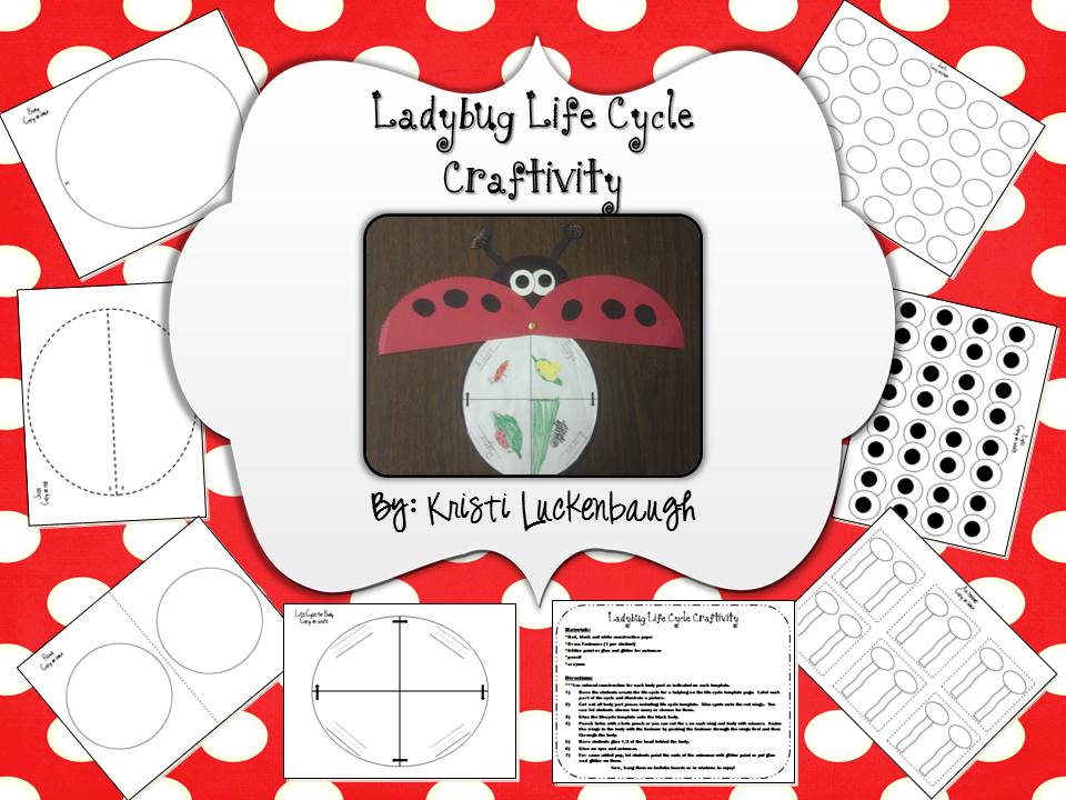 Lucky in Learning: Ladybug Life Cycle