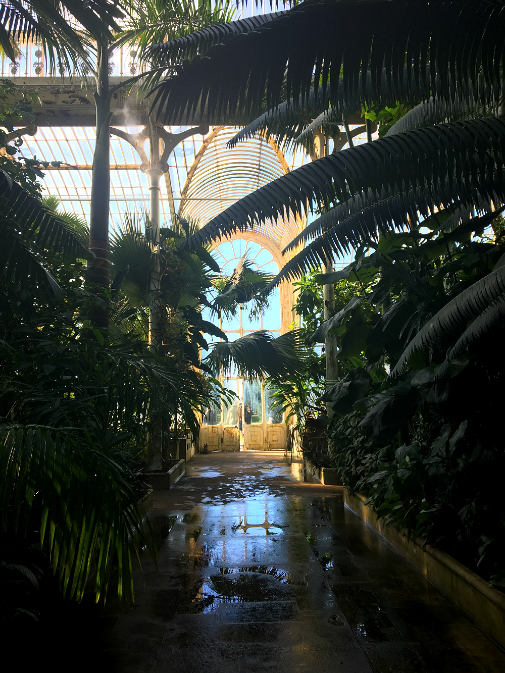 THE PERFECT WINTER WALK KEW GARDENS Wellness