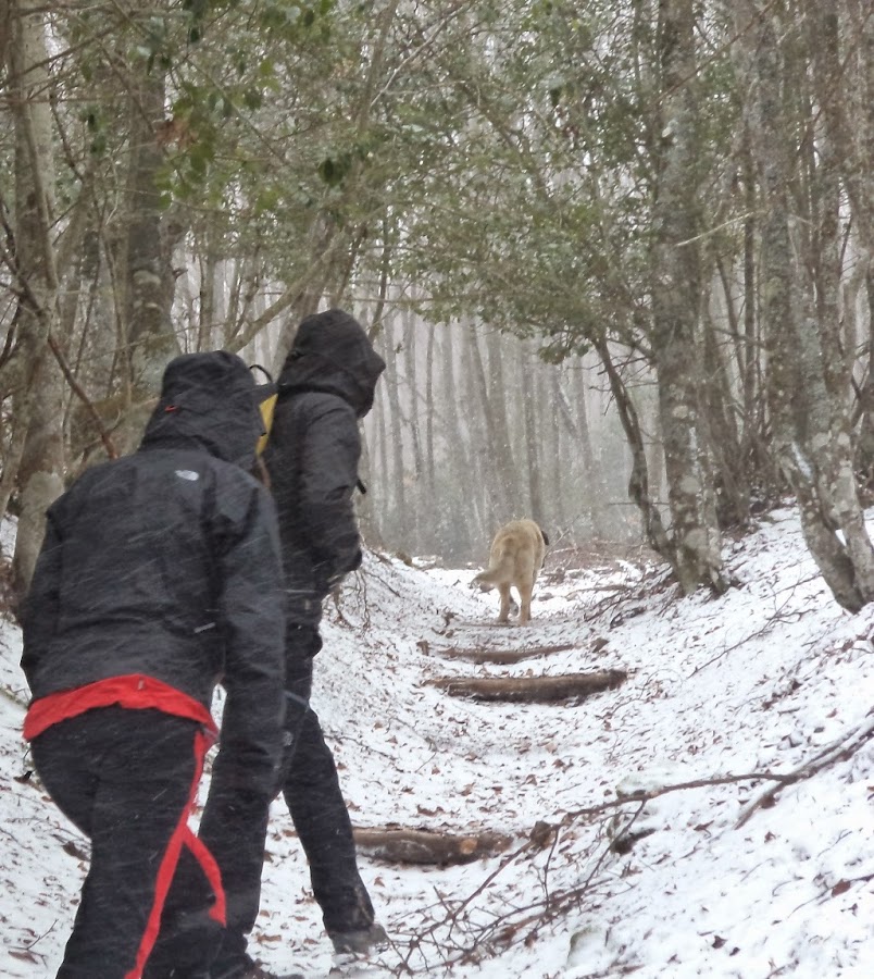 Inma-y-Lipe-de-camino-a-la-Tejeda-de-Tosande-en-Palencia