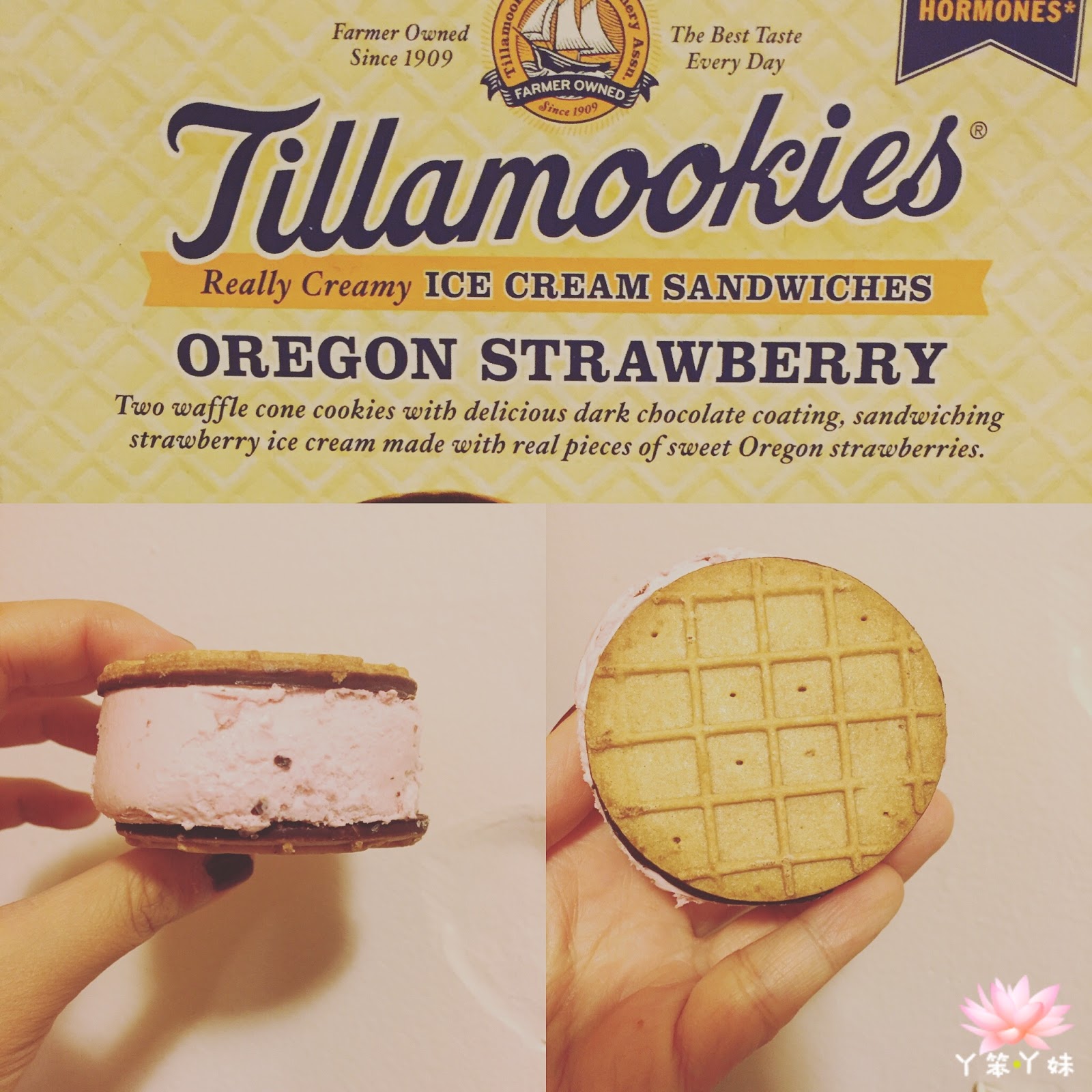 【美國・Winco】Tillamookie IceCream Sandwich (提拉姆克三明治草莓冰淇淋) Y笨Y妹