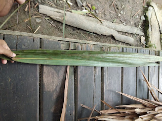 Daun rumbia di lapis dengan yang lebih kecil Daun rumbia di lapis dengan yang lebih kecil
