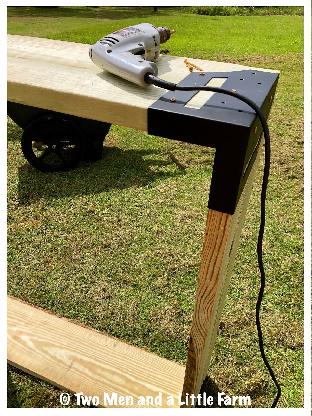 Two Men and a Little Farm CITRUS TREE RAISED BEDS BUILT