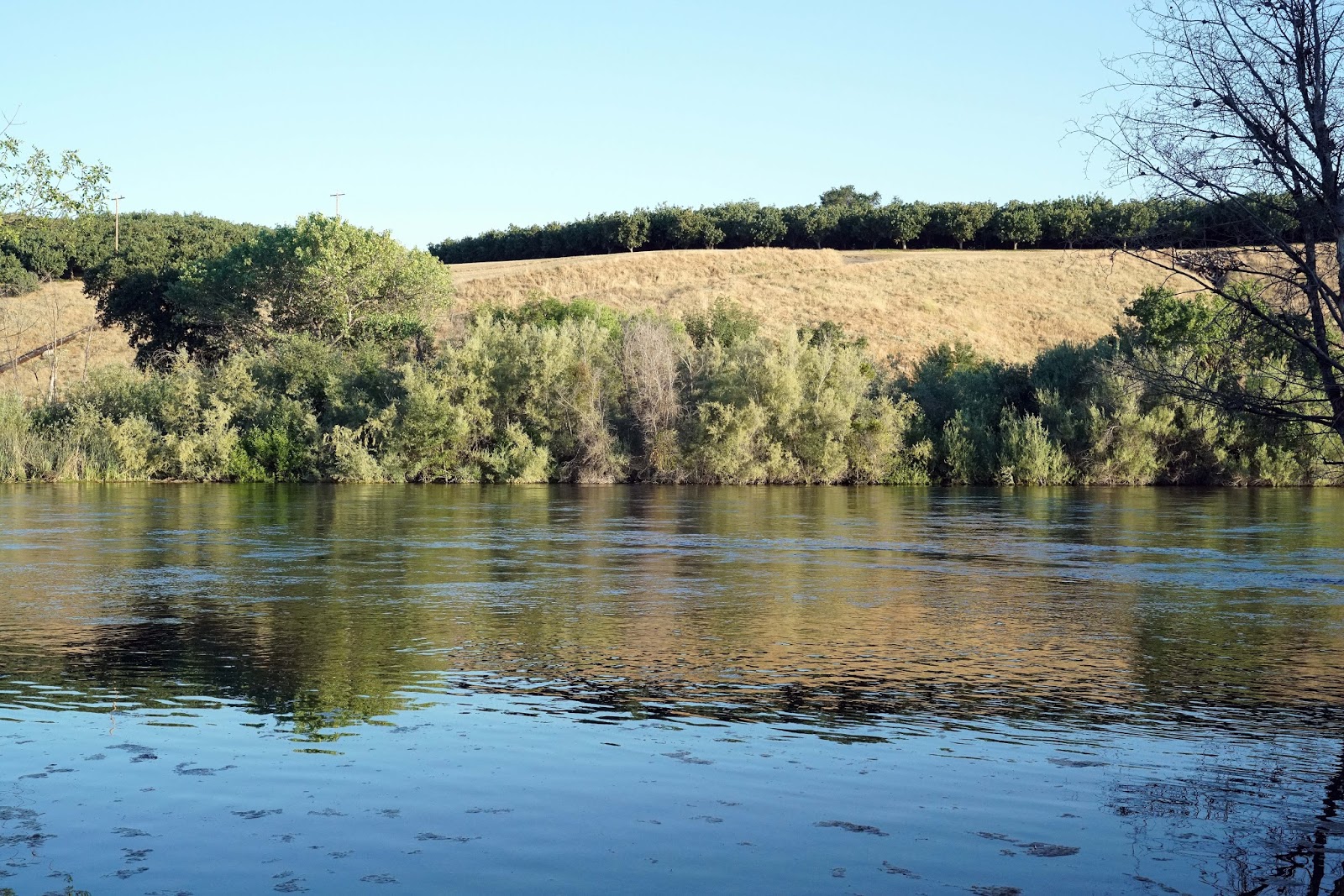 Mid Sierra Musings Lost Lake Park 2017 Friant California