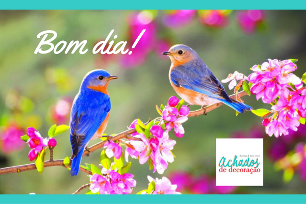 frase do dia blgo achados de decoração frase do dia blgo achados de decoração