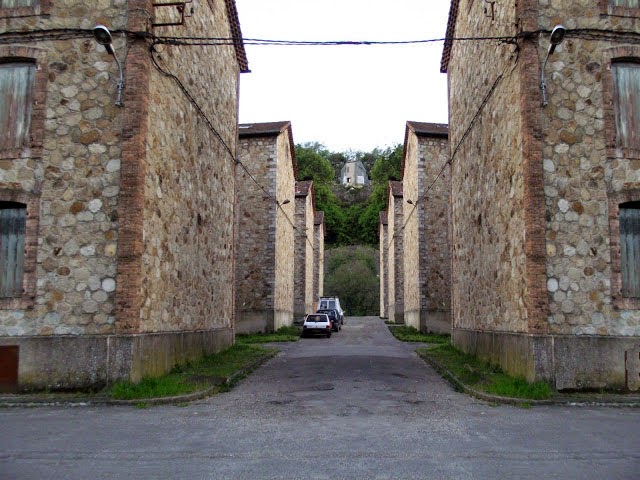 Le petit train d'Alès- Bessèges, le dossier