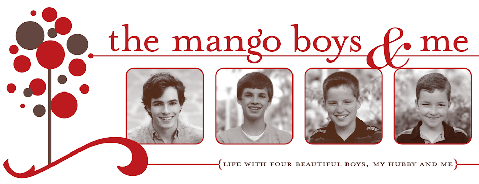 The Mango Boys and Me