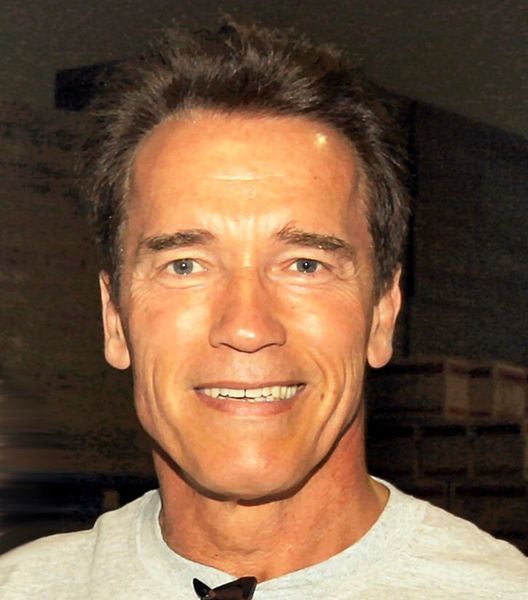 Caras de Famosos Virtual Arnold Schwarzenegger iClone Mundo Virtual