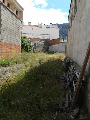 Vinos Ambiz, S.L. (vinos ecológicos y naturales, en Madrid y en Gredos)