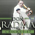 Don Bradman Cricket 17 Apk + Data Free Download