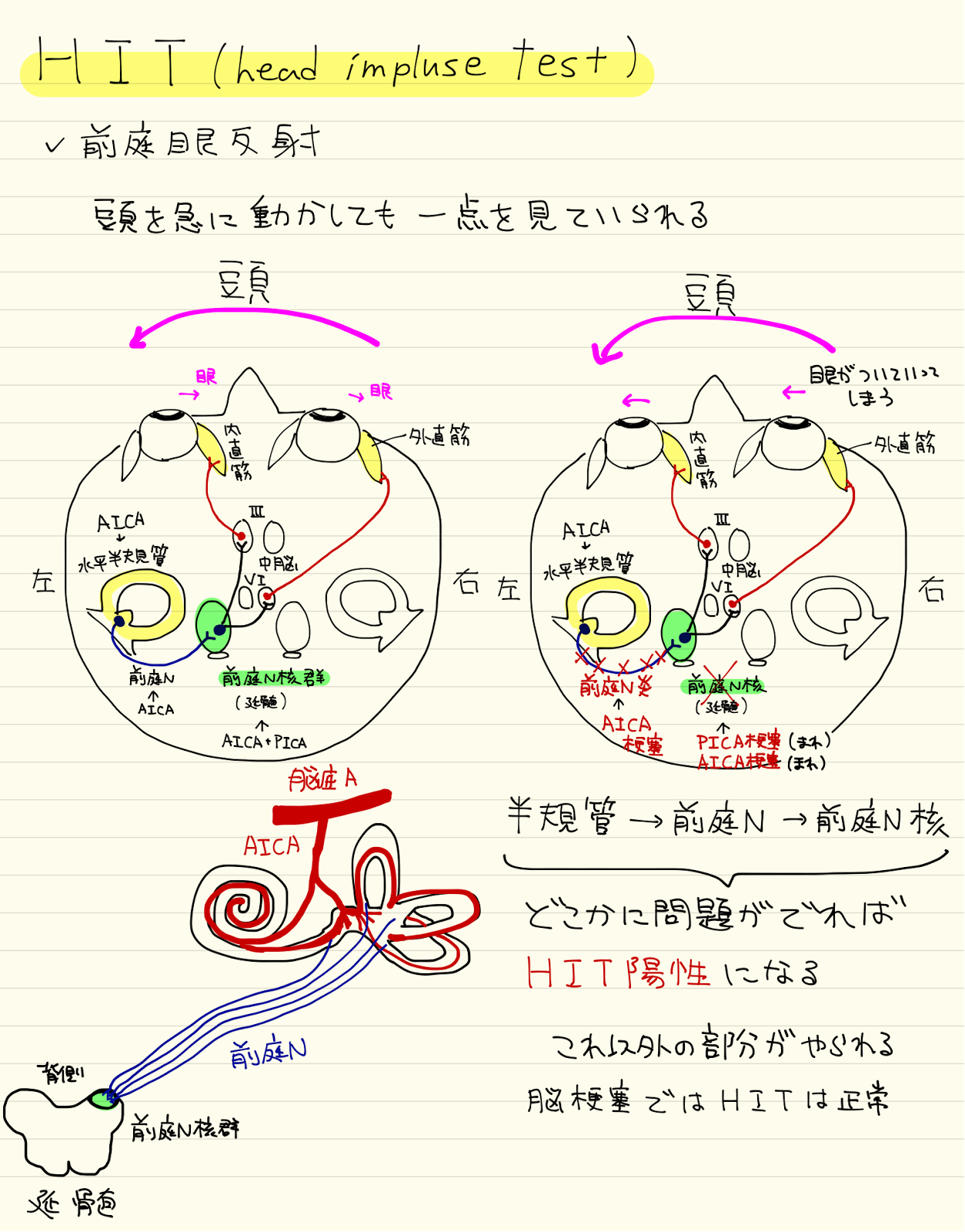 蝸牛 症状