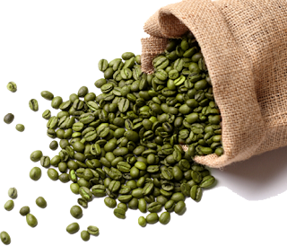 Compelling Green Coffee Bean Reviews By Users And Researchers, Green Coffee Bean, weight loss,