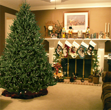 tell me why the world is weird the future of christmas trees tell me why the world is weird the future of christmas trees