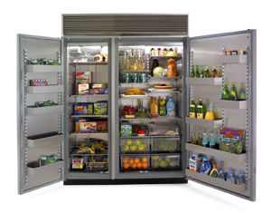 Interior Design: Northland refrigerator